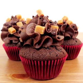 chocolate-fudge-cupcakes-rgb